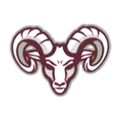 Houston High School